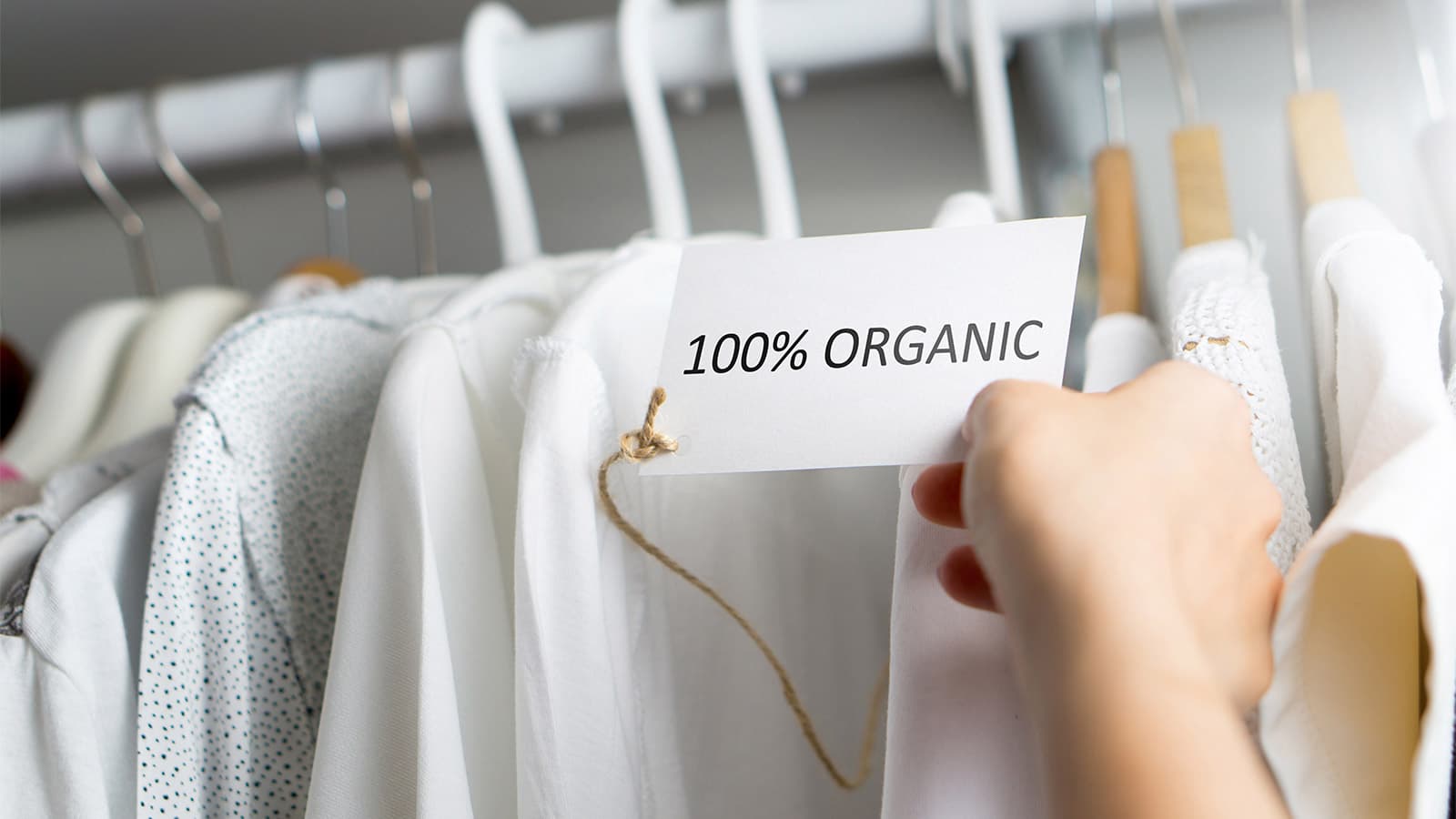 Sustainable Fashion
